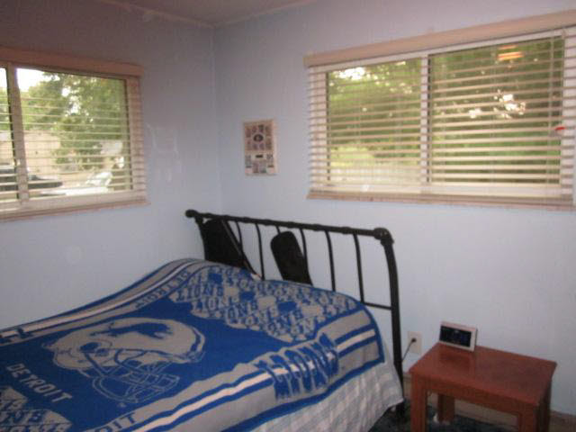 5946 Douglas Road Ida, MI 48140 - Photo 9 of 14 20101128-8.JPG