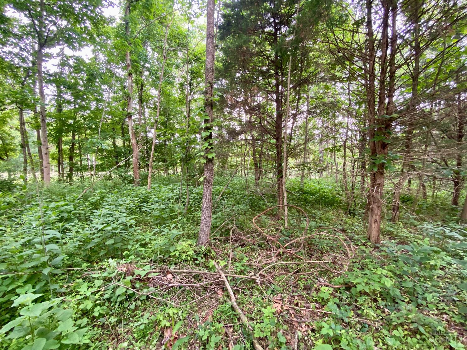 85 Pfeifer Road Manchester, OH 45144 - Photo 5 of 15