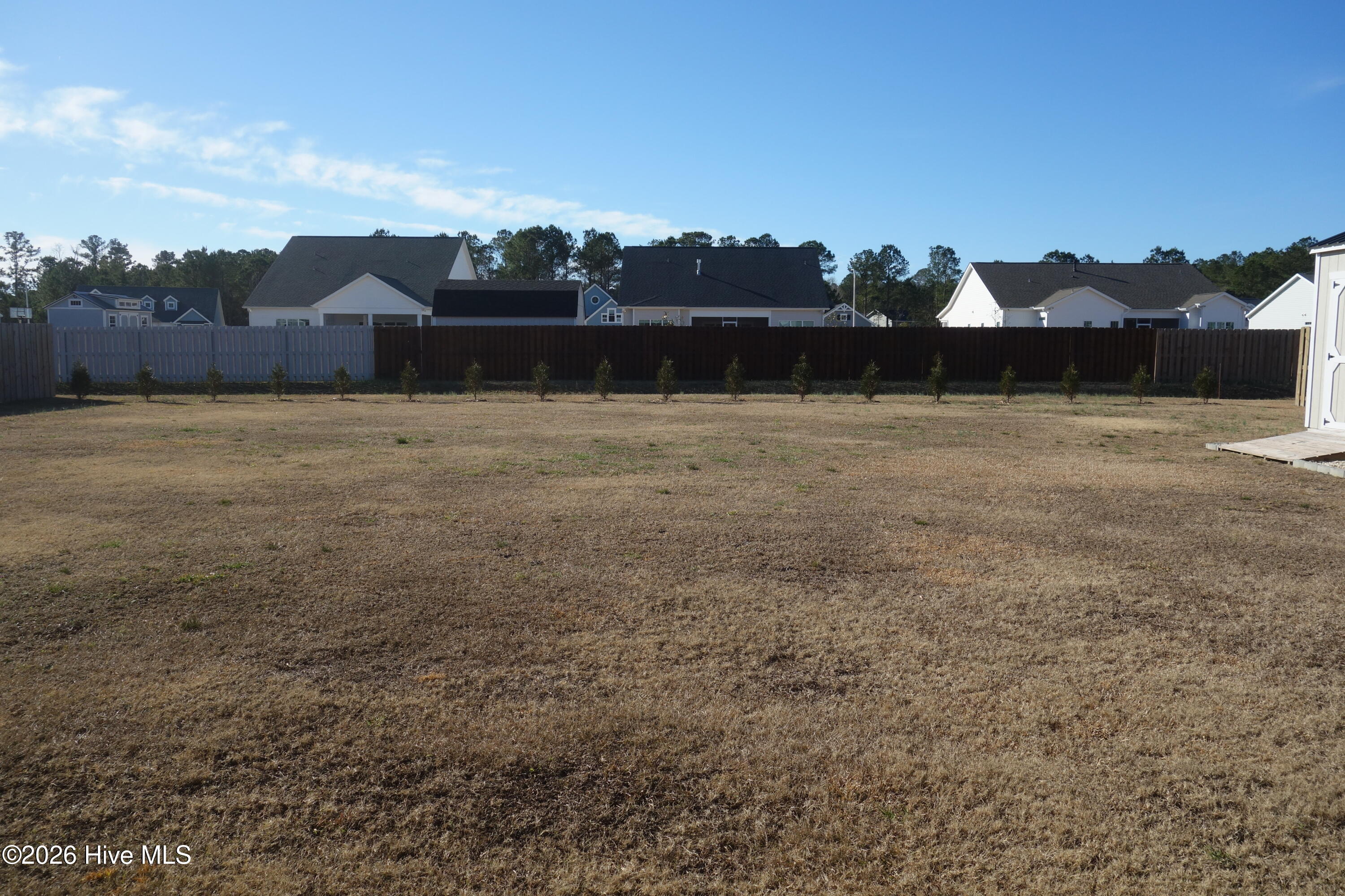 6829 Campbells Ridge Drive Southeast Leland, NC 28451 - Photo 26 of 31 Backyard from Center