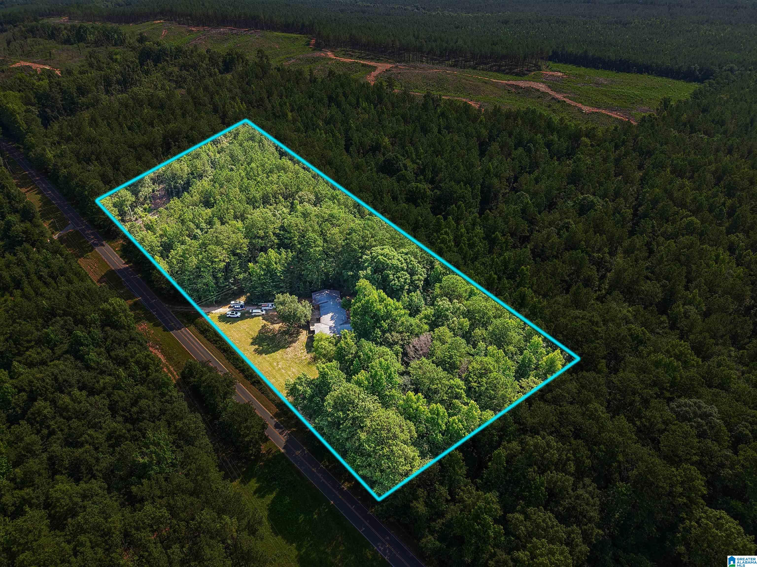 4363 County Road 5 Sylacauga, AL 35151 - Photo 4 of 32