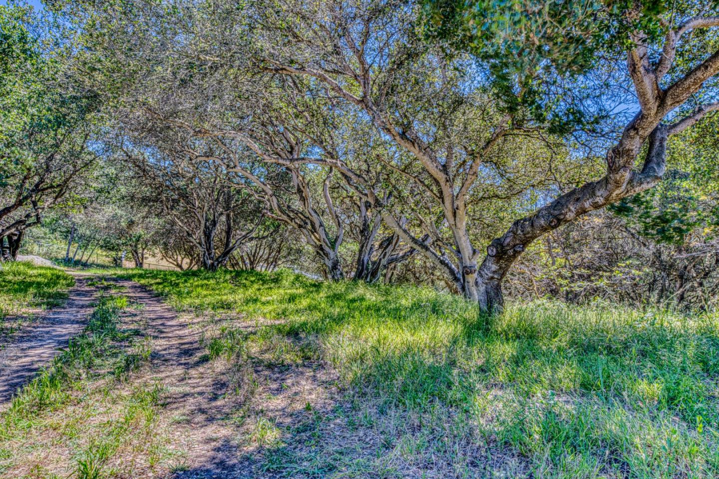 417 B Maher Road Watsonville, CA 95076 - Photo 5 of 37
