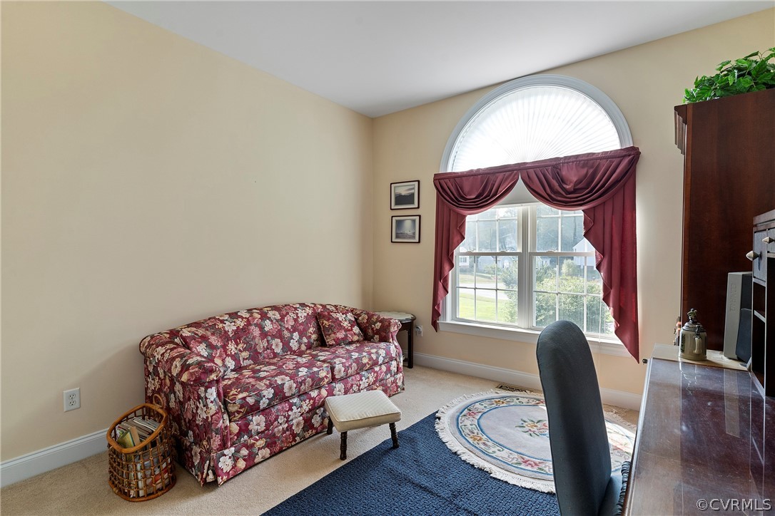 11908 Misty Spring Court Midlothian, VA 23112 - Photo 19 of 30 Gallery Image 19