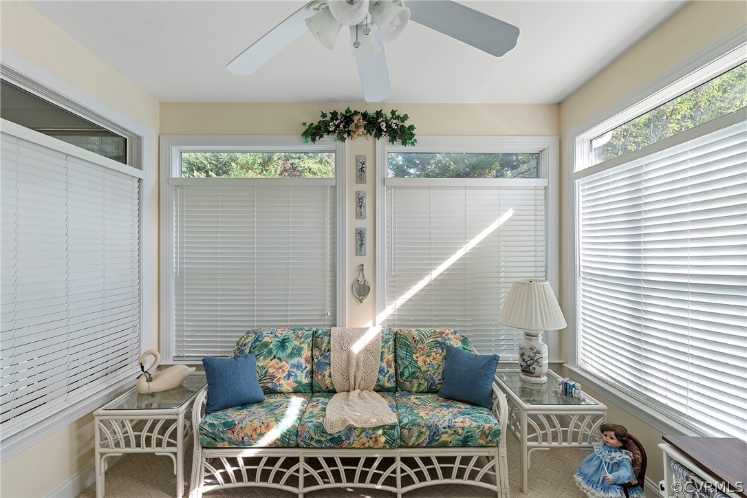 11908 Misty Spring Court Midlothian, VA 23112 - Photo 21 of 30 Gallery Image 21