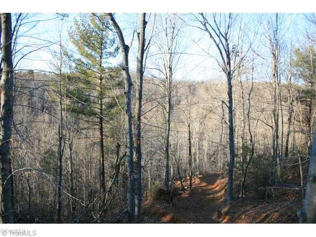 Tbd Tbd Haw Patch Road Ferrum, VA 24088 - Photo 8 of 8 Land.