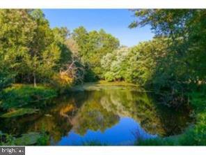 122 Cedar Road Mullica Hill, NJ 08062 - Photo 3 of 11 View of Pond in Rear Yard