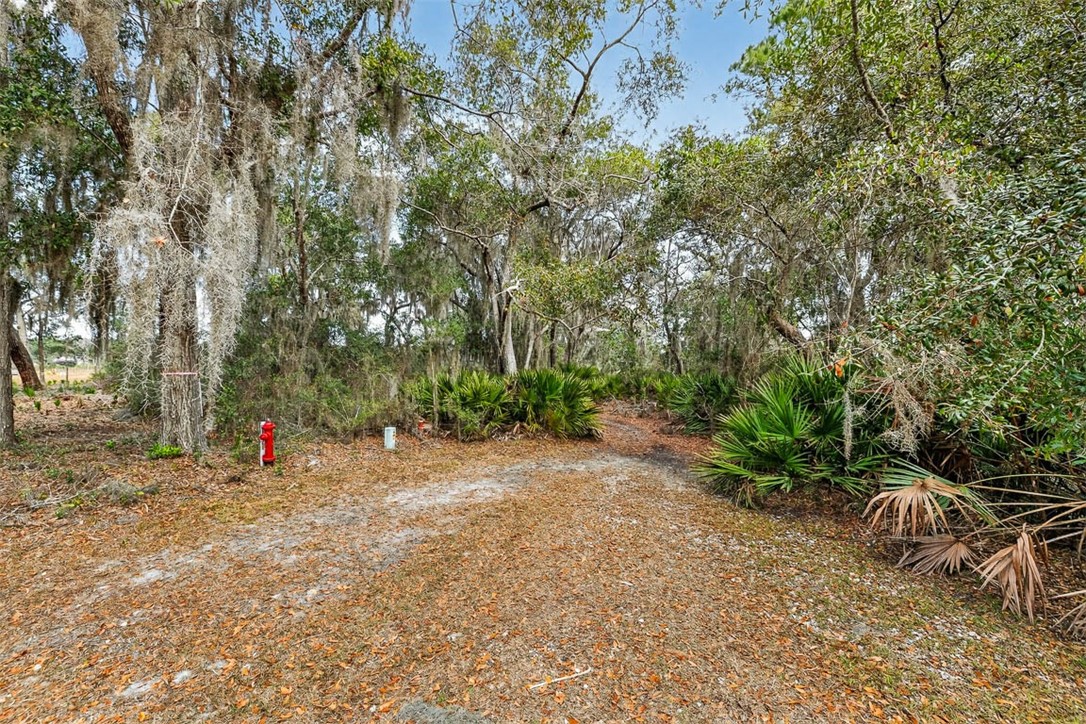 Lot 35 St Joseph's Point Darien, GA 31305 - Photo 22 of 26