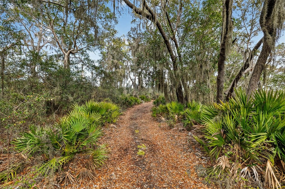Lot 35 St Joseph's Point Darien, GA 31305 - Photo 24 of 26