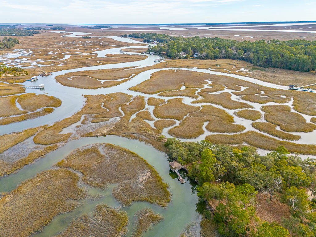 Lot 35 St Joseph's Point Darien, GA 31305 - Photo 6 of 26