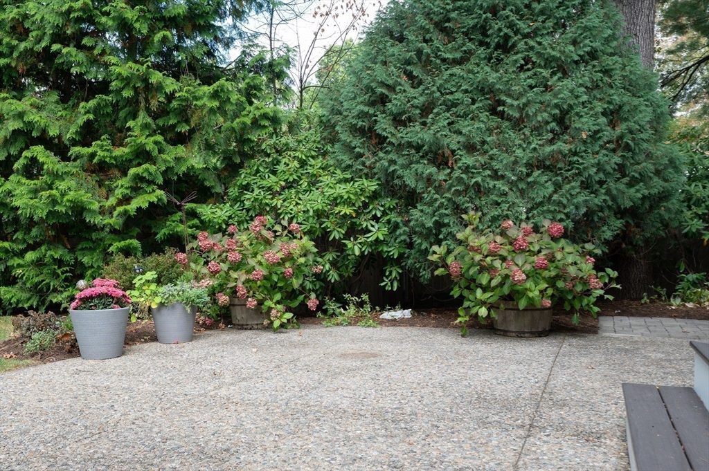 5 Crest Road Natick, MA 01760 - Photo 35 of 36 a garden view with a seating space