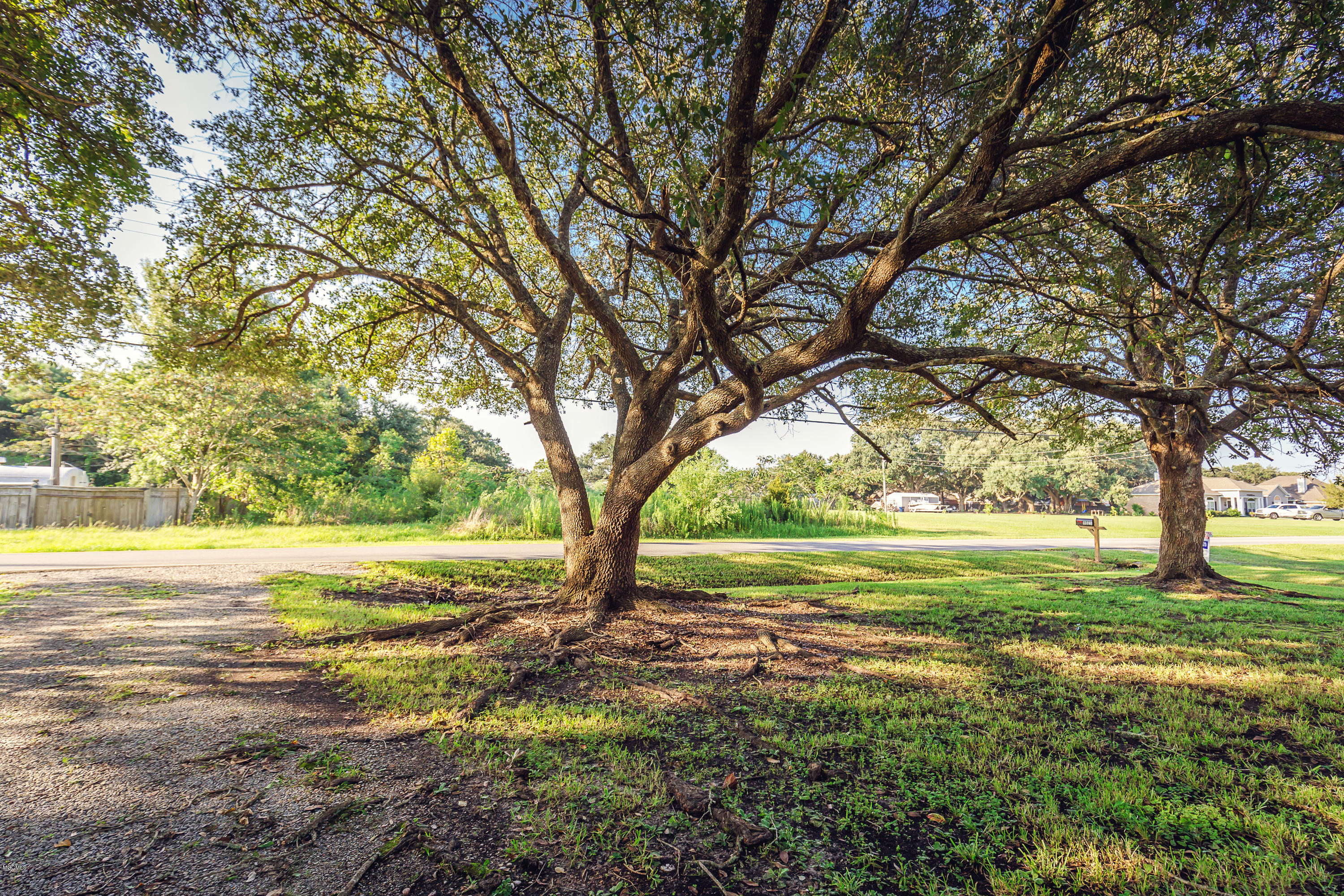 8021 Pointe Aux Chenes Road Ocean Springs, MS 39564 - Photo 19 of 33 Front yard