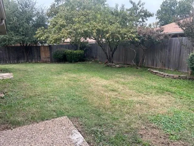 a view of a backyard