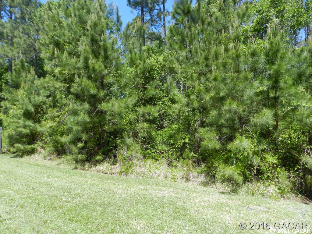 4714 Northwest 82nd Road Gainesville, FL 32653 - Photo 20 of 24