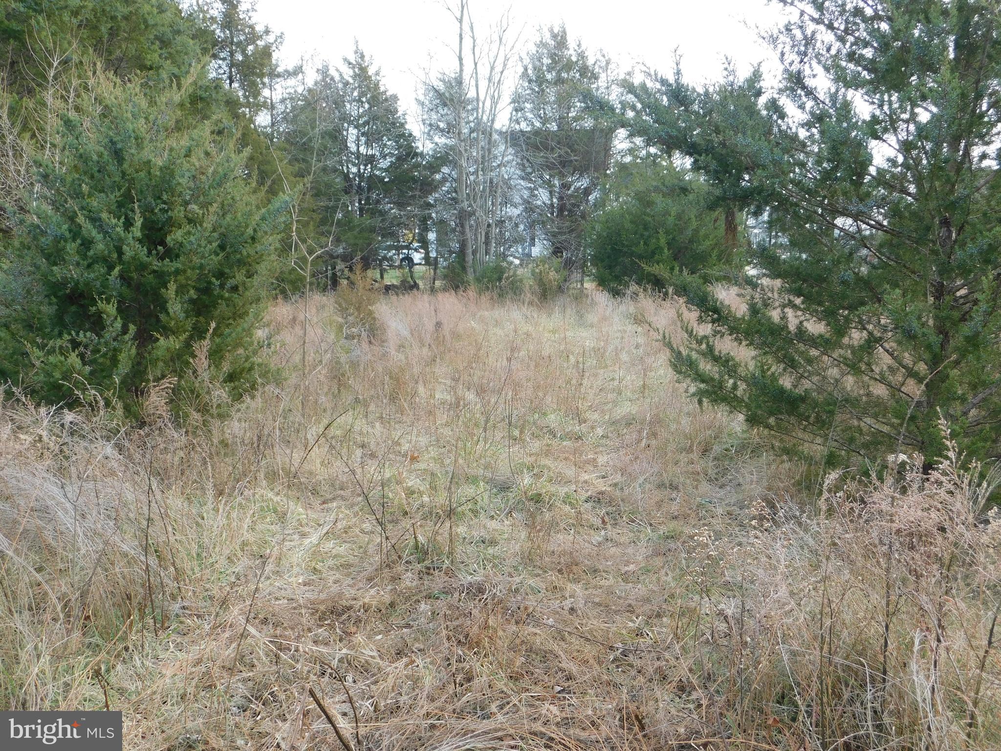 25534 Gum Spring Road Chantilly, VA 20152 - Photo 14 of 21