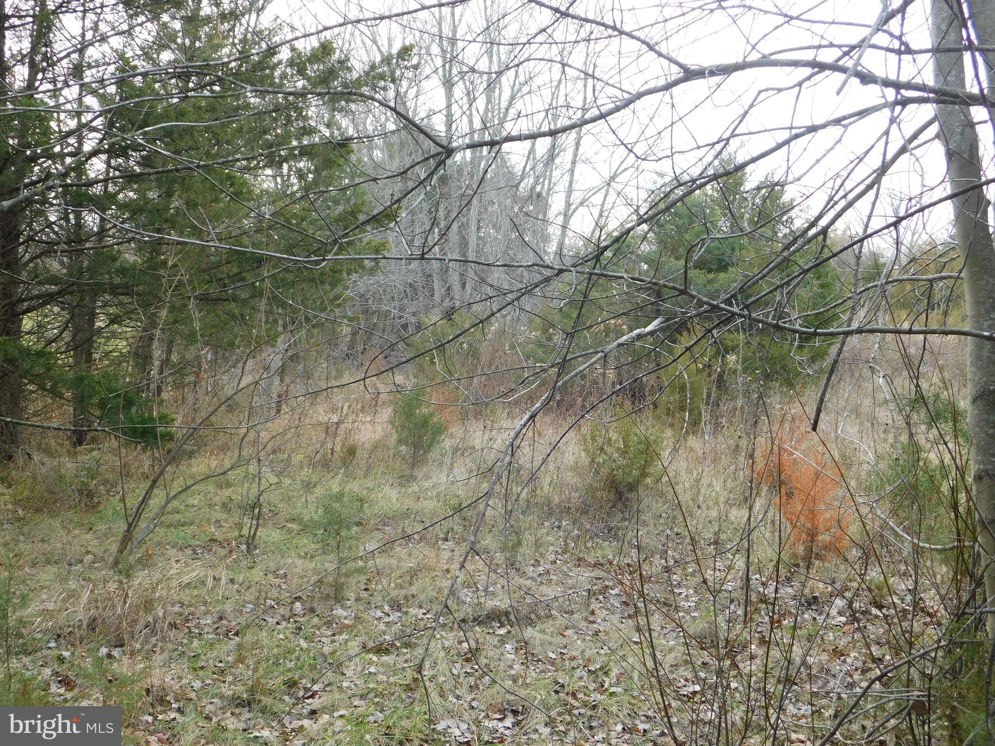 25534 Gum Spring Road Chantilly, VA 20152 - Photo 17 of 21