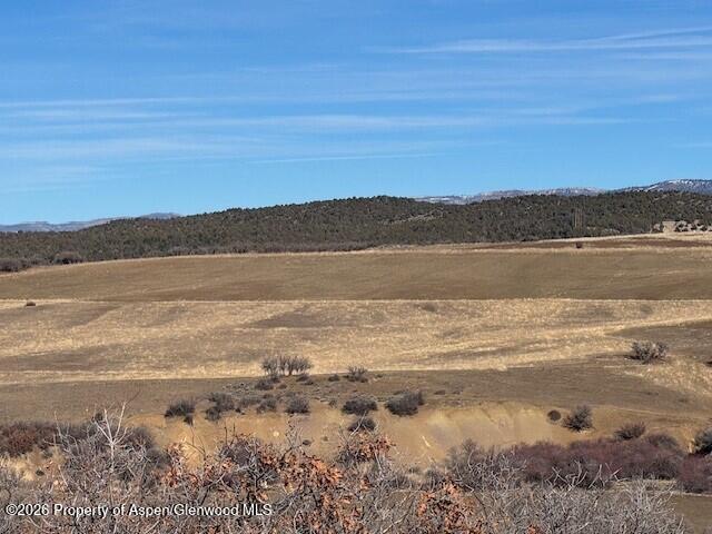 0 County Road 312 New Castle, CO 81647 - Photo 3 of 11 3