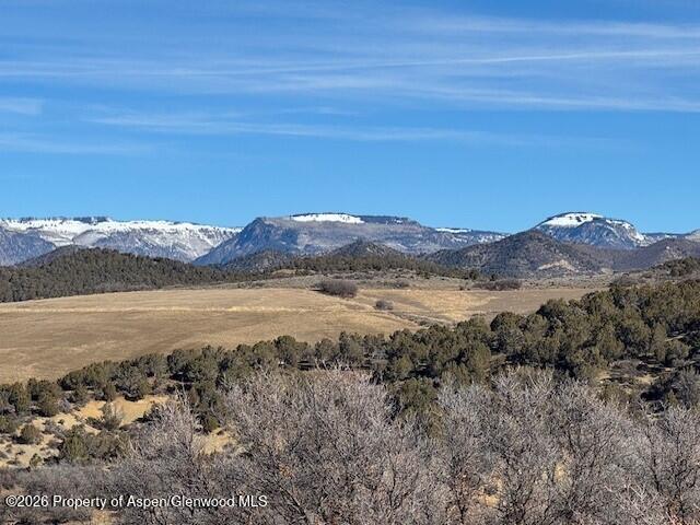 0 County Road 312 New Castle, CO 81647 - Photo 5 of 11 5