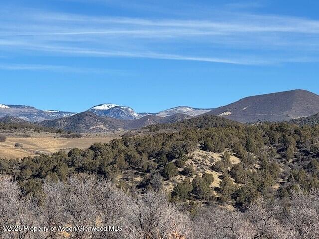 0 County Road 312 New Castle, CO 81647 - Photo 6 of 11 6