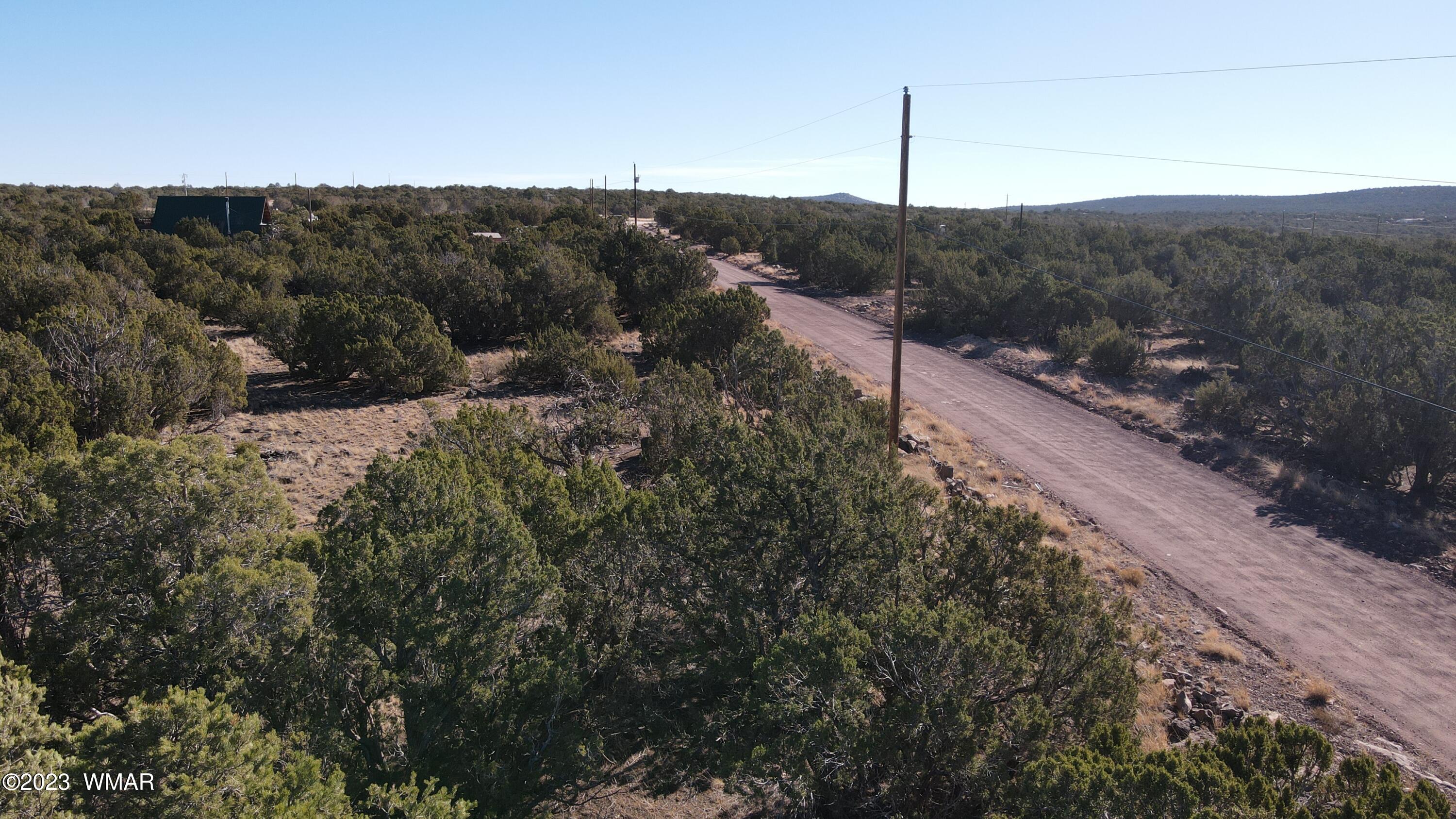 85 County Road 8249 Concho, AZ 85924 - Photo 11 of 11 a view of a forest