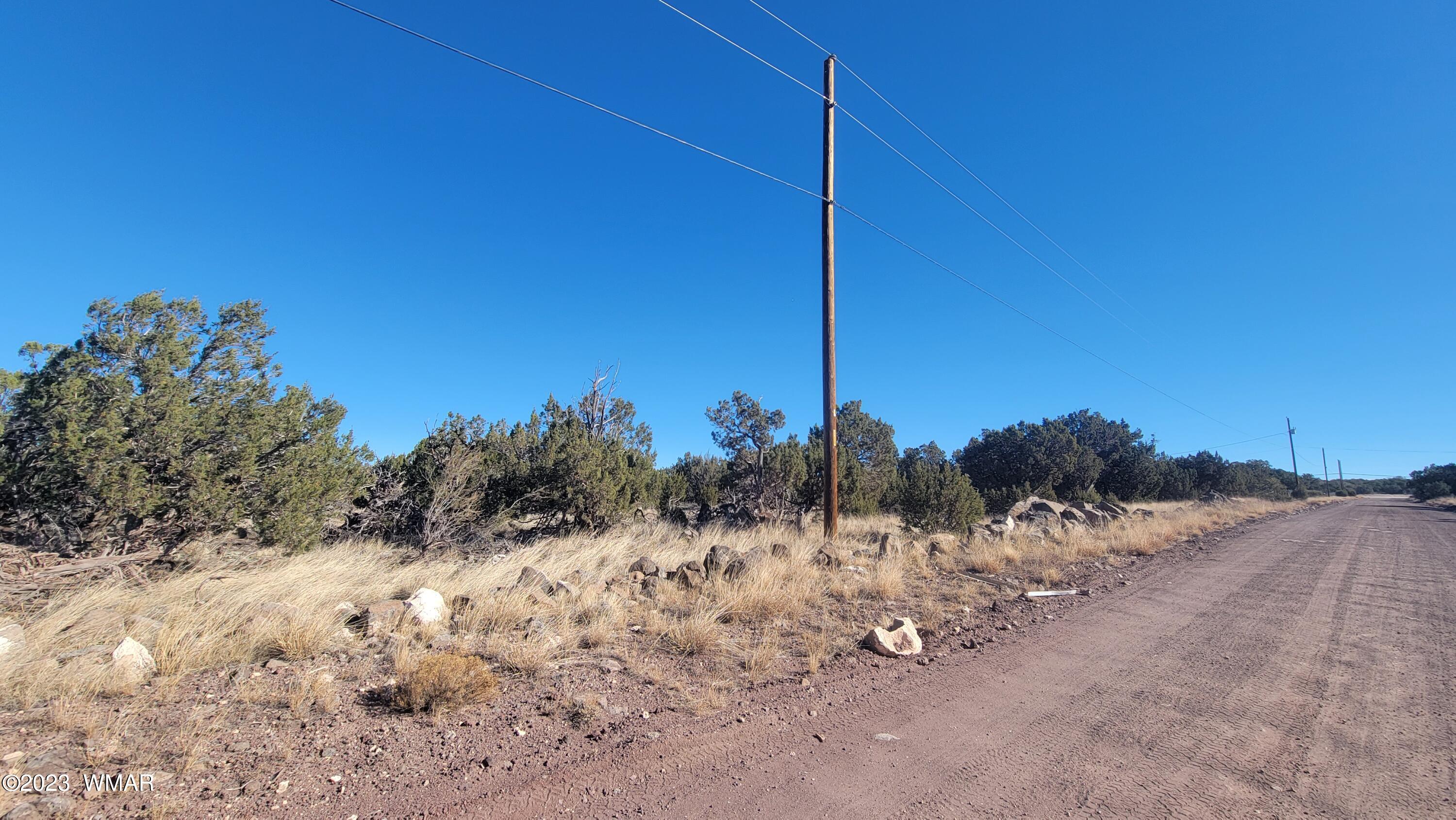 85 County Road 8249 Concho, AZ 85924 - Photo 6 of 11 a view of a dry yard with trees