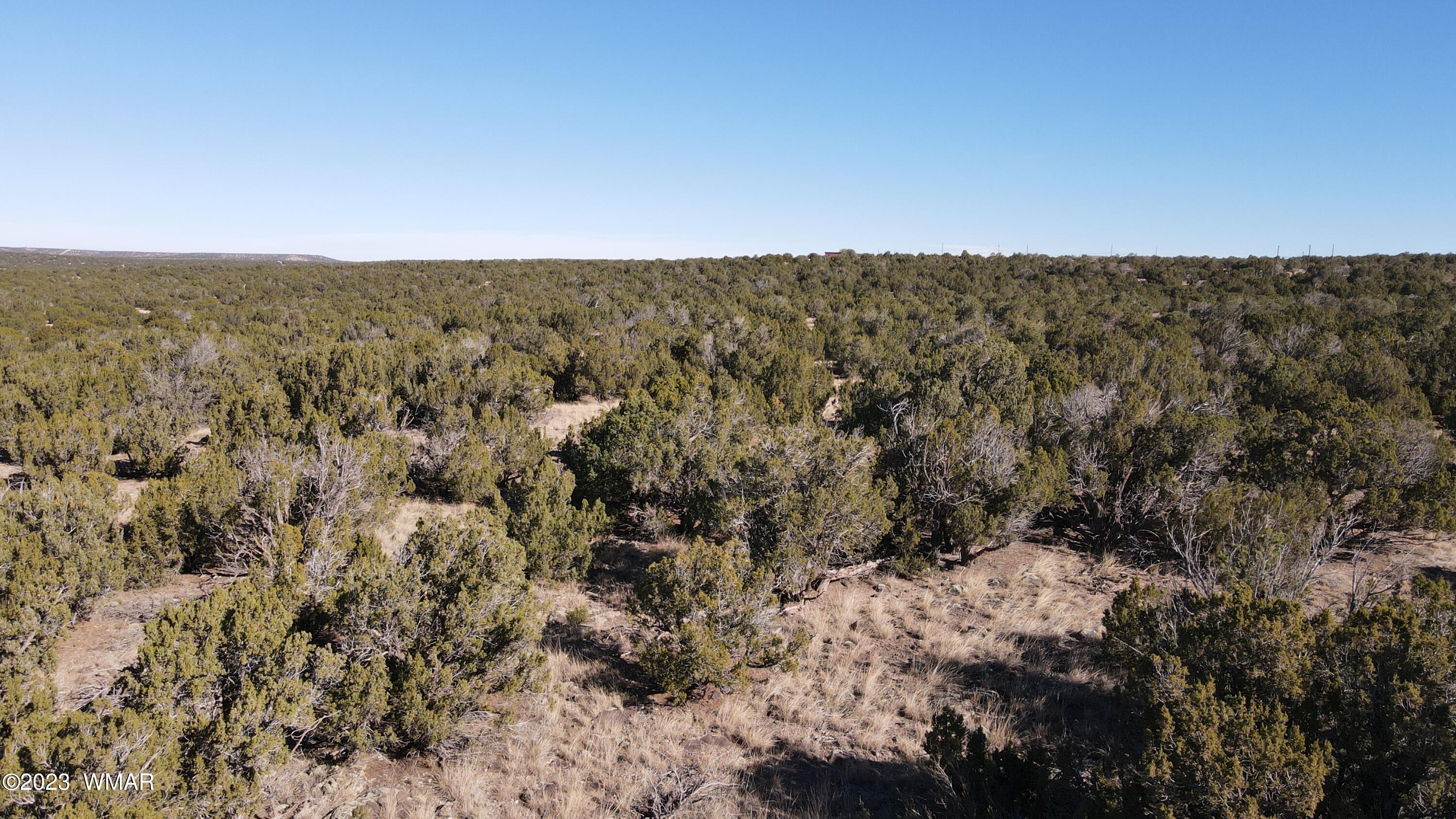 85 County Road 8249 Concho, AZ 85924 - Photo 8 of 11 a view of a sky