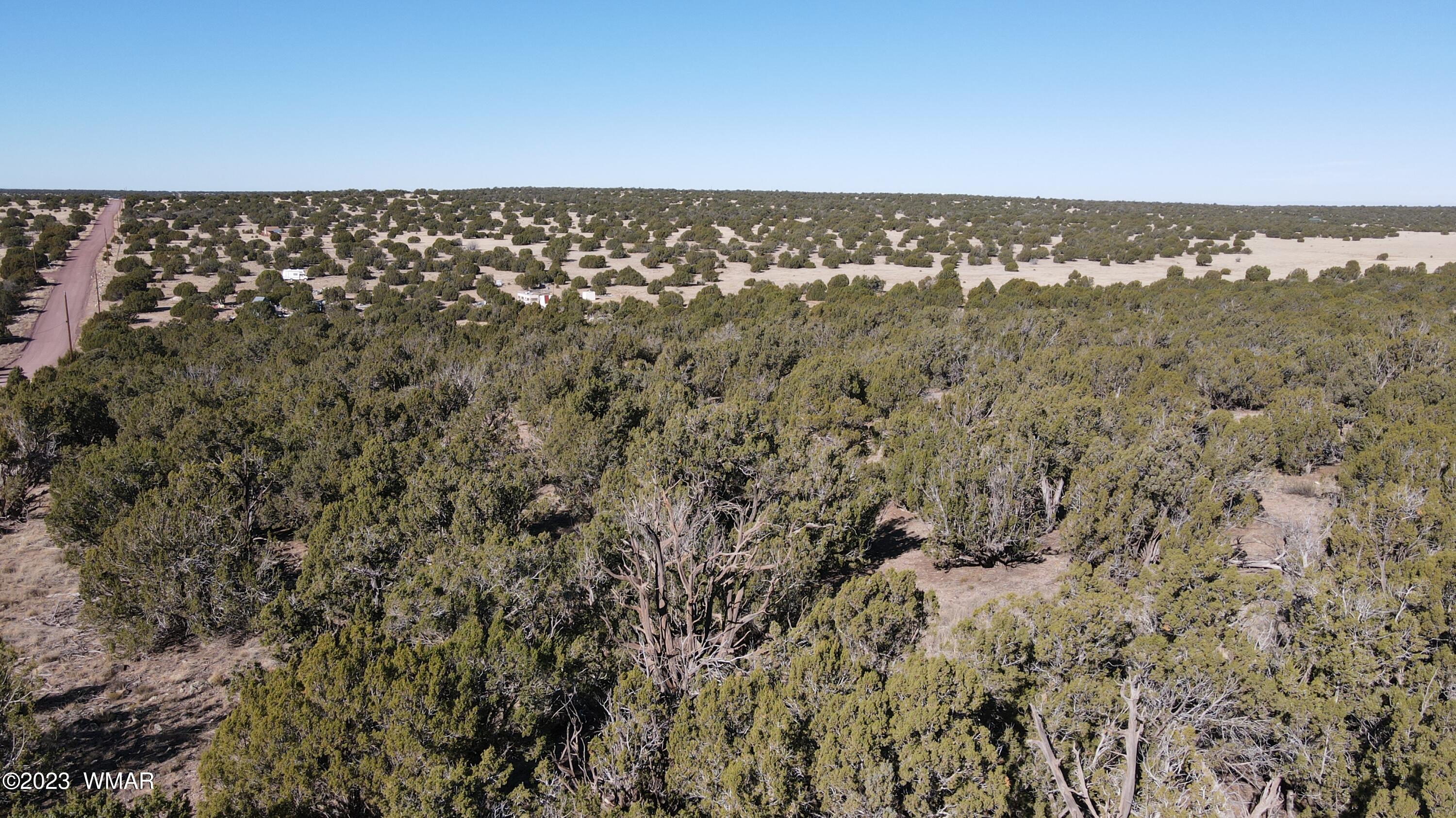 85 County Road 8249 Concho, AZ 85924 - Photo 9 of 11