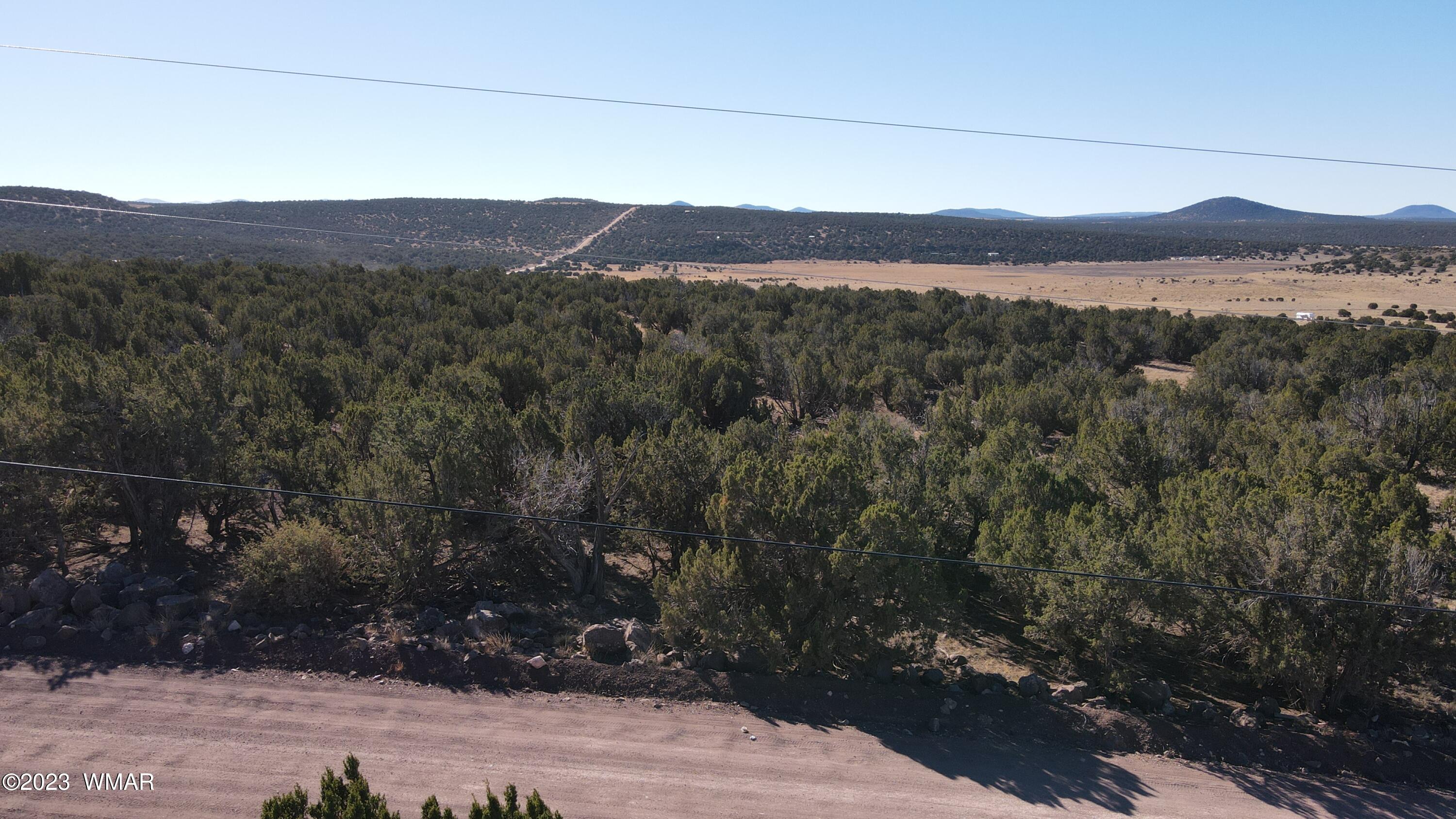 85 County Road 8249 Concho, AZ 85924 - Photo 10 of 11 a view of mountain with sunset in background