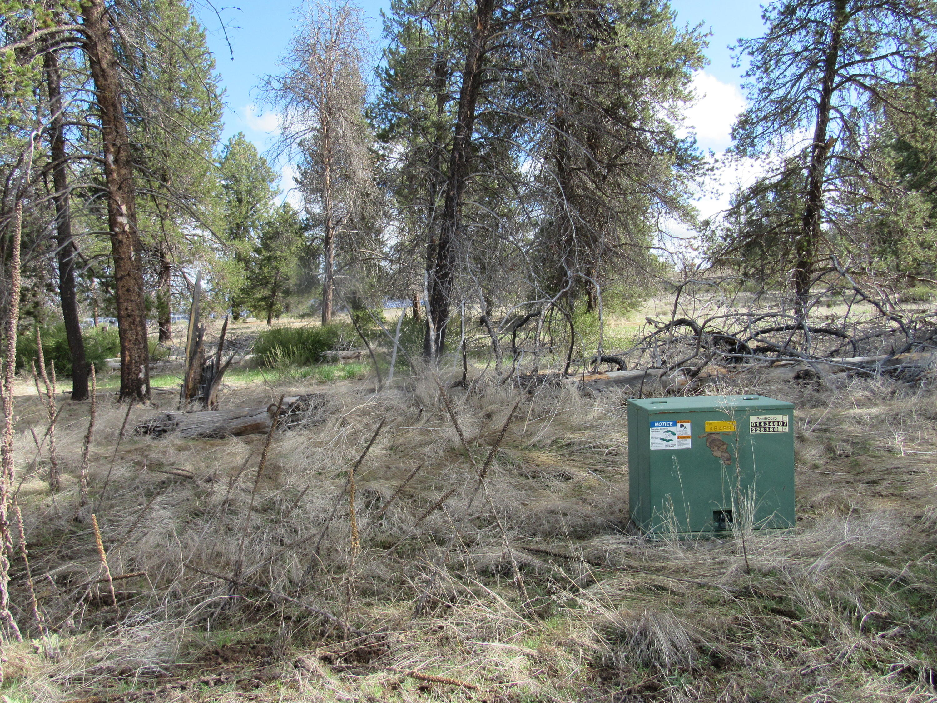 0 Longhorn Loop, Unit 883882 Chiloquin, OR 97624 - Photo 11 of 11 a view of outdoor space and trees