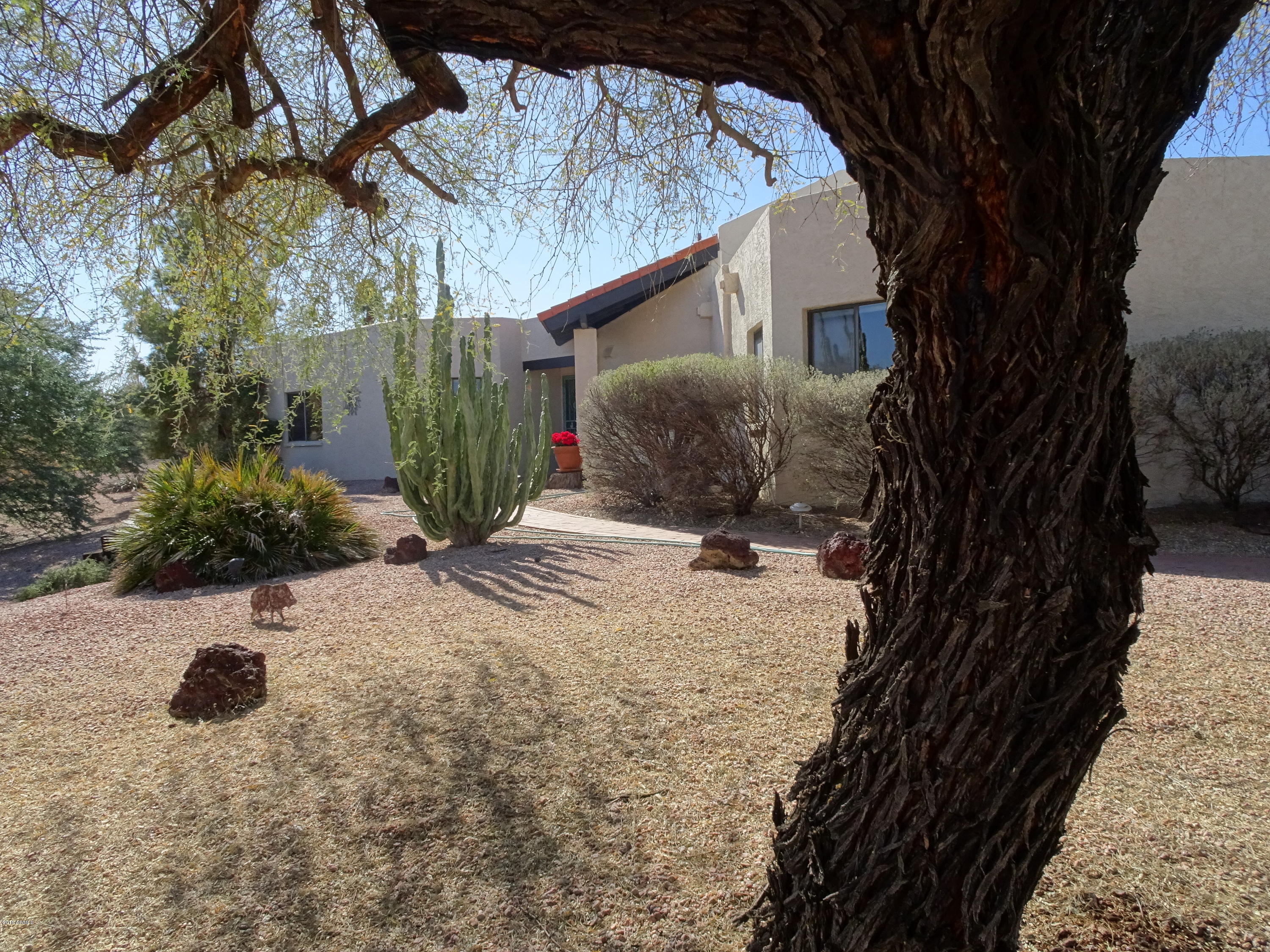 26418 North Avenida Del Ray Rio Verde, AZ 85263 - Photo 4 of 26 DSC00264