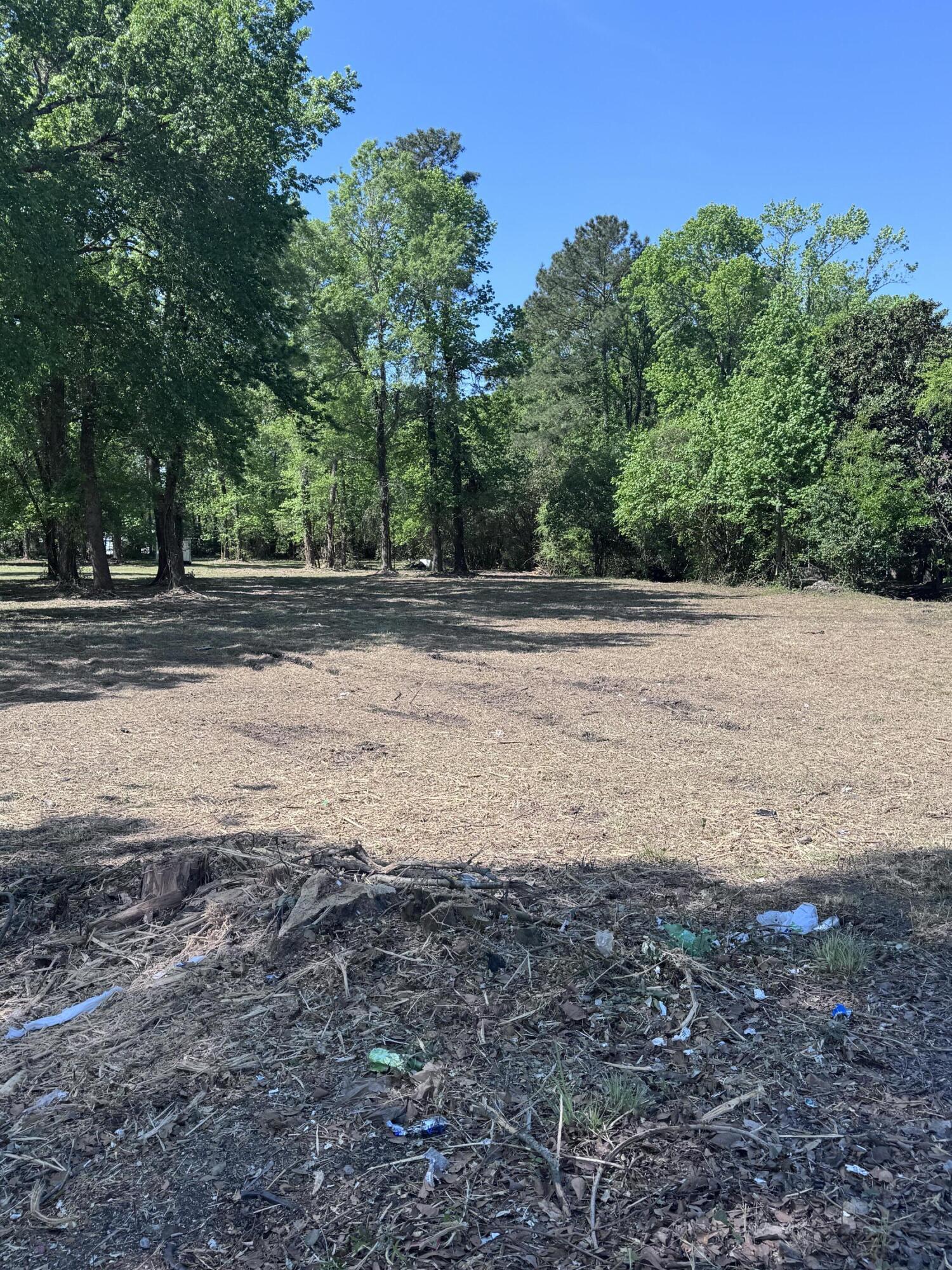 465 East Main Street Moncks Corner, SC 29461 - Photo 4 of 4 IMG_1874