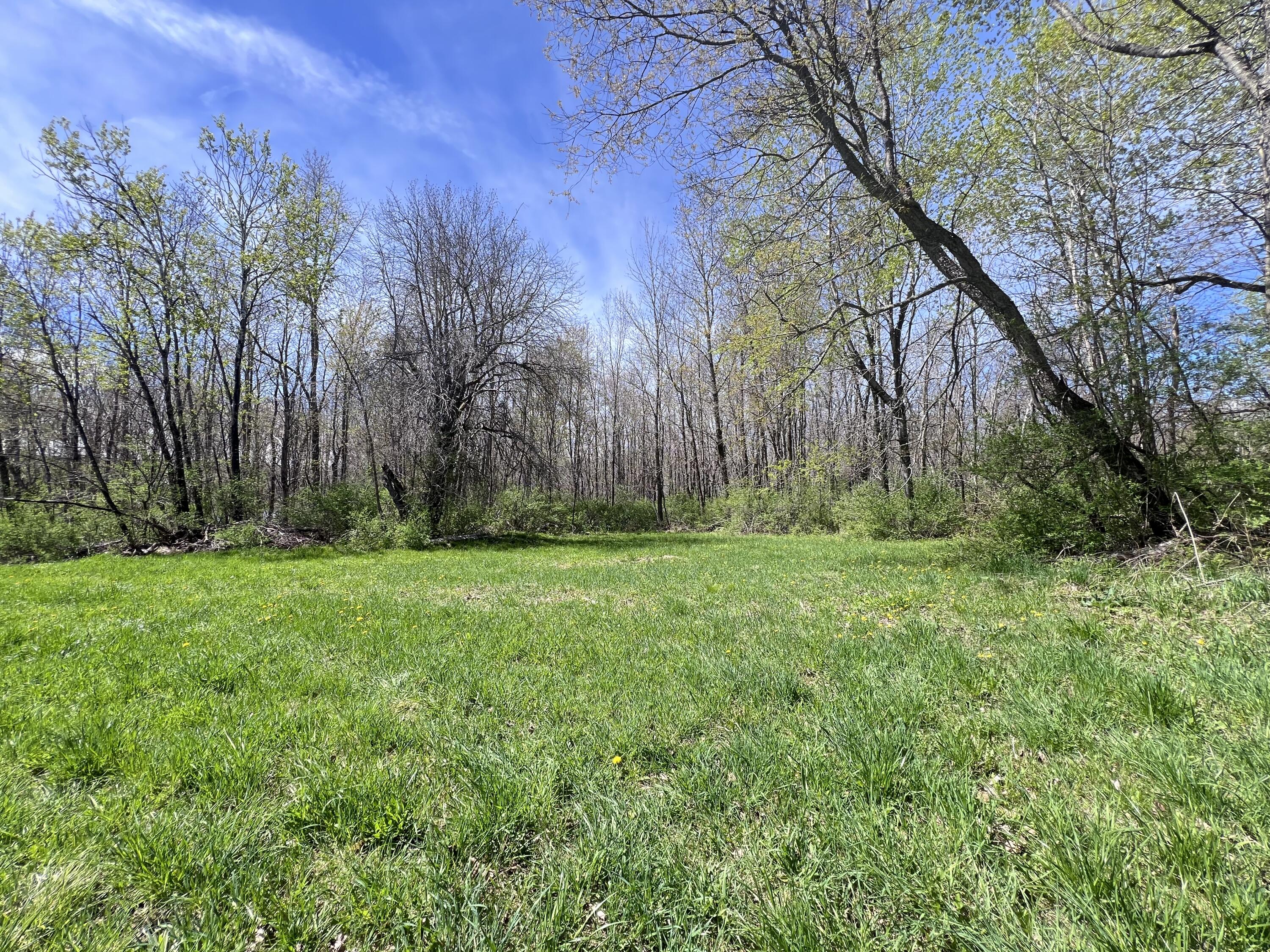Lot 16 North Chester Road Lincoln, ME 04457 - Photo 2 of 18 IMG_0627