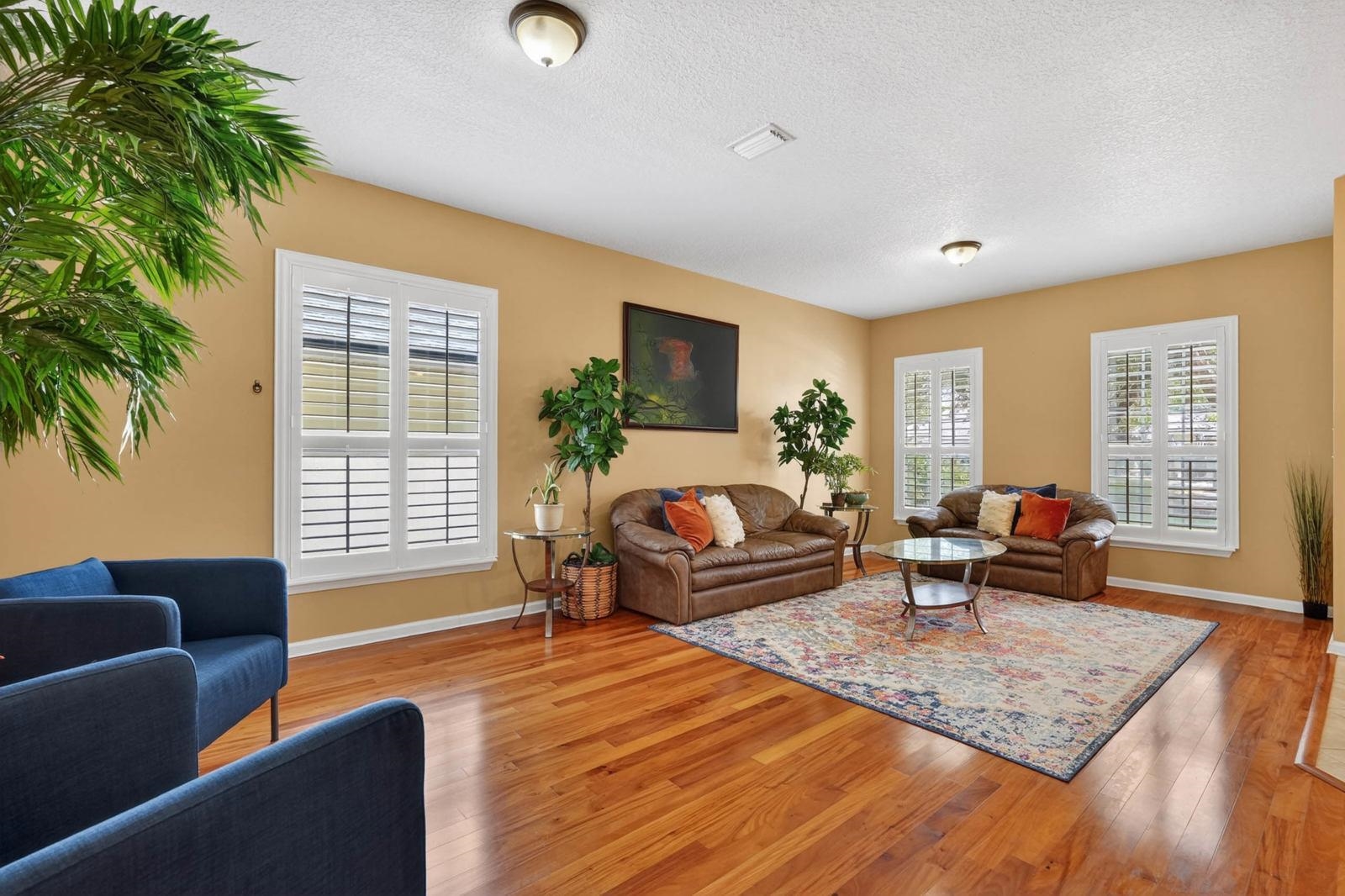 1237 Splendid Ravine Street St. Augustine, FL 32092 - Photo 6 of 62 a living room with furniture and a potted plant