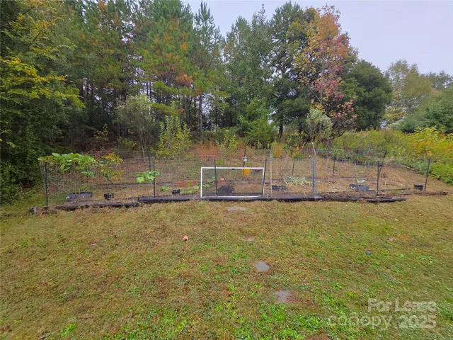 a backyard of water and trees