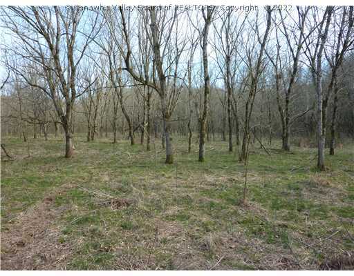 0 Patterson Road Cottageville, WV 25239 - Photo 3 of 14 Land.