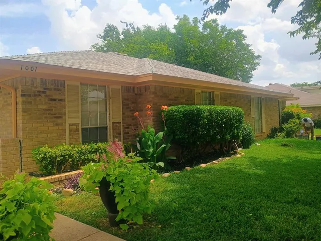 a view of a garden with potted plants
