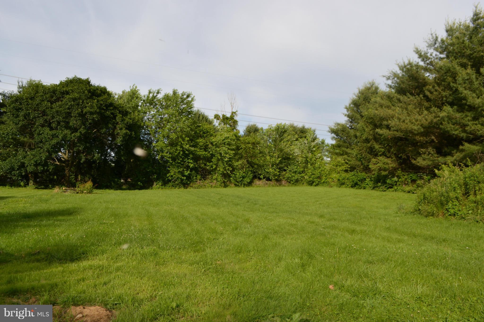 920 Ragan Road Conowingo, MD 21918 - Photo 9 of 30 Expansive open yard