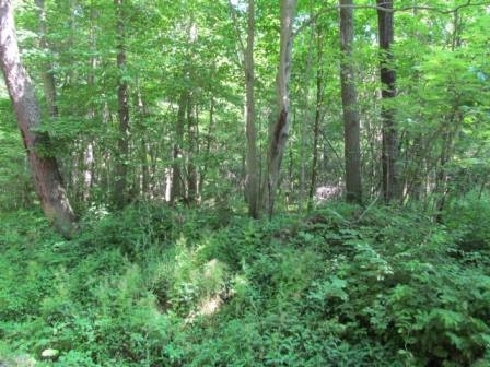1168 Fairview Road Titusville, PA 16354 - Photo 1 of 1 Main View