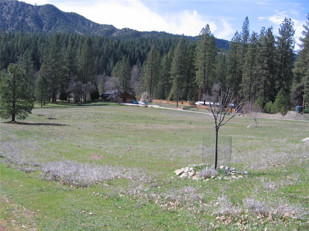 2512 Goose Ranch Road Lewiston, CA 96052 - Photo 3 of 12 Front half of property with mountain views