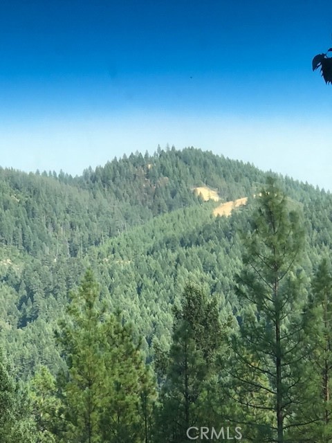 2512 Goose Ranch Road Lewiston, CA 96052 - Photo 9 of 12 Trinity Alps