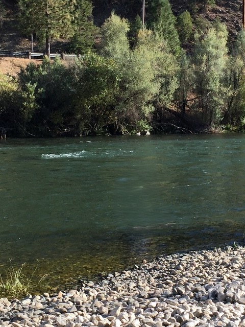 2512 Goose Ranch Road Lewiston, CA 96052 - Photo 10 of 12 Steelhead Fishing