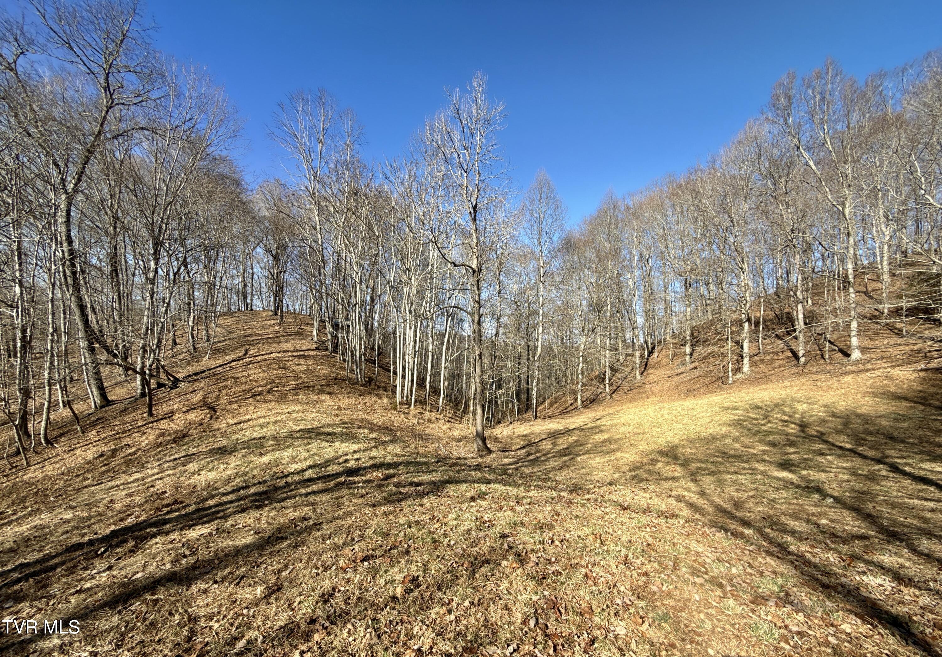 219 Ridge Road Eidson, TN 37731 - Photo 61 of 72 _Pic51 (14)