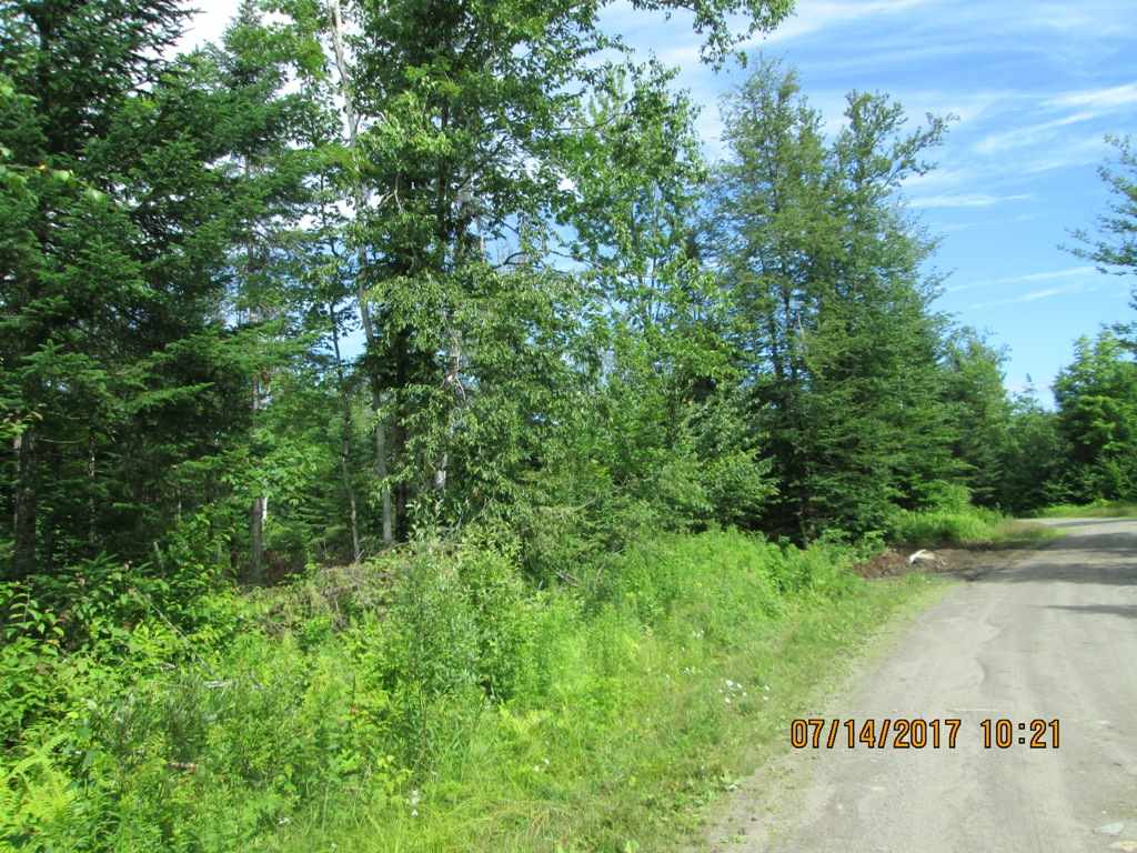 Washburn Road, Unit 3 North Stratford, NH 03590 - Photo 1 of 6