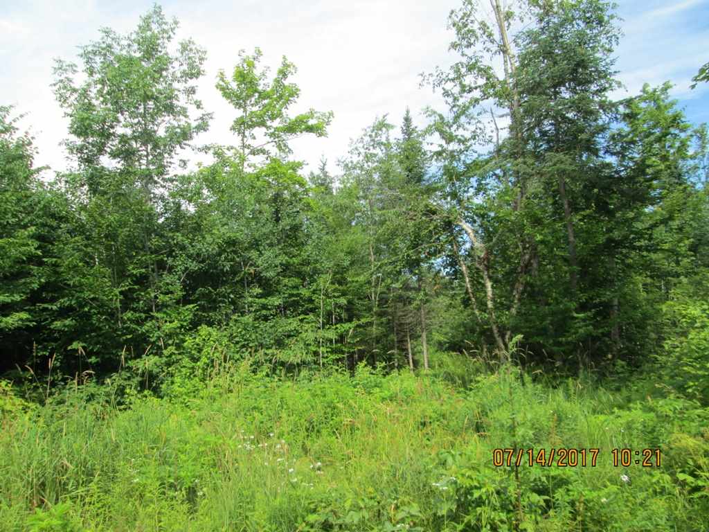 Washburn Road, Unit 3 North Stratford, NH 03590 - Photo 2 of 6