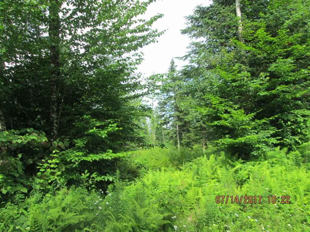 Washburn Road, Unit 3 North Stratford, NH 03590 - Photo 3 of 6