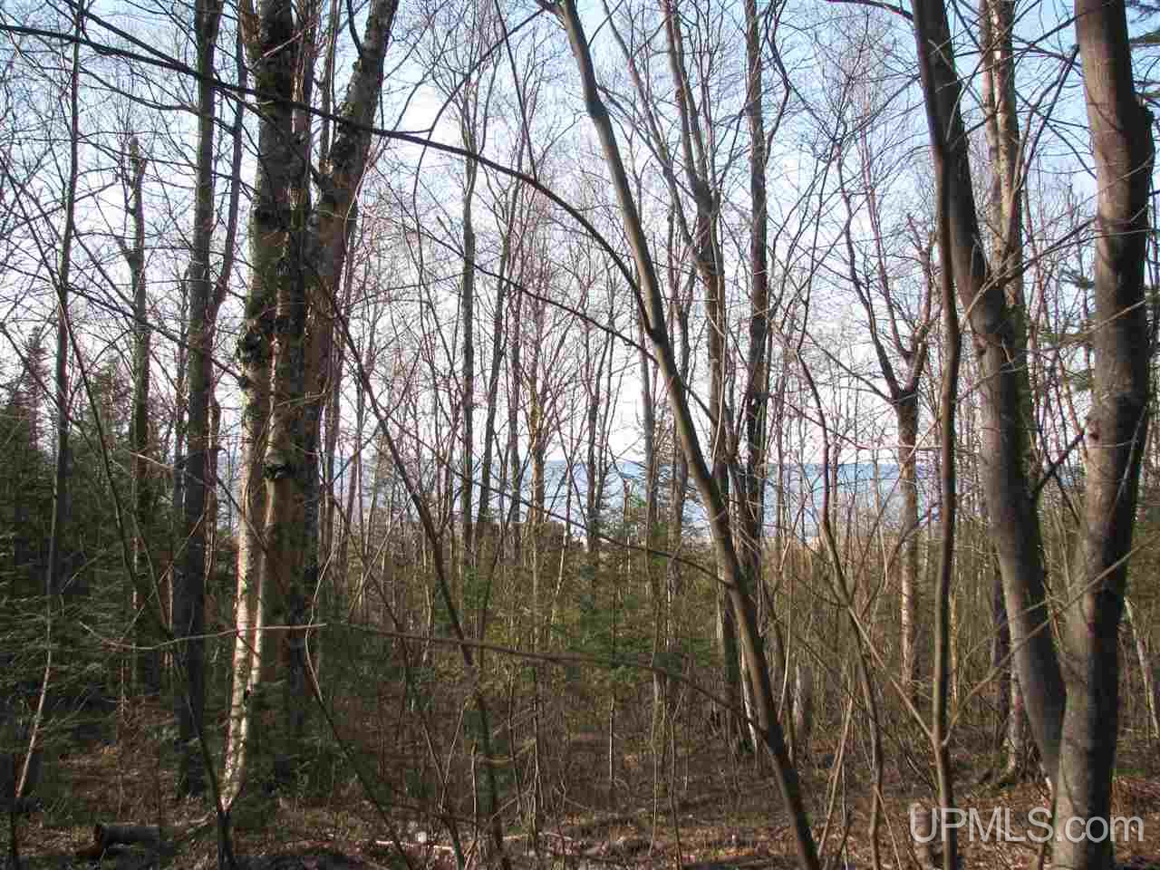Tbd County Rd H-58 Grand Marais, MI 49839 - Photo 10 of 11