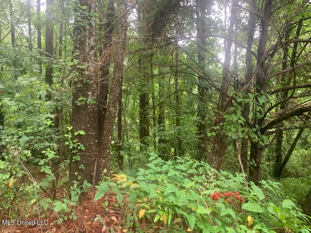 $22,000 | 1063 Dry Creek Road, Magee, MS 39111