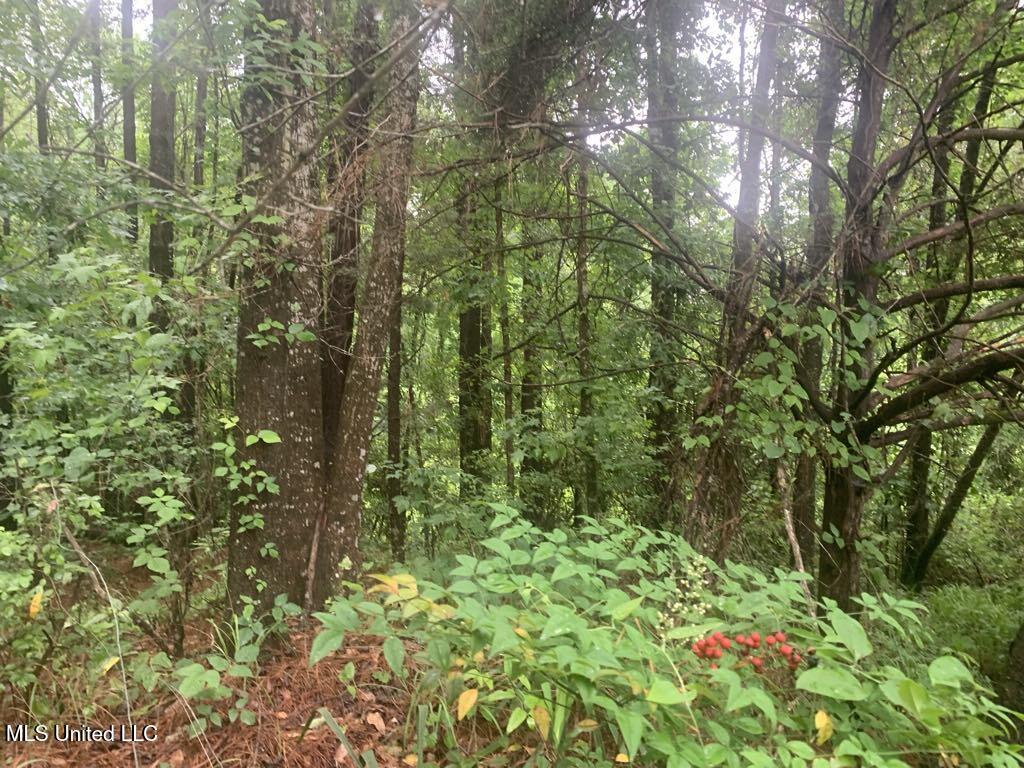 1063 Dry Creek Road Magee, MS 39111 - Photo 12 of 15 d335336a-4652-440f-9db1-7b18e15cf875