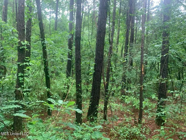 $22,000 | 1063 Dry Creek Road, Magee, MS 39111