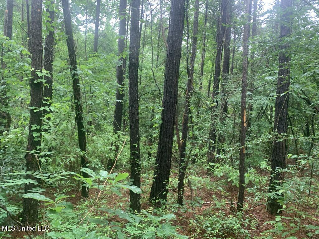 1063 Dry Creek Road Magee, MS 39111 - Photo 13 of 15 e78532c8-0e31-495e-a5a5-a225f27e65be