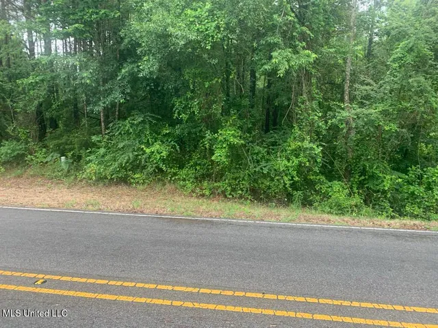 $22,000 | 1063 Dry Creek Road, Magee, MS 39111