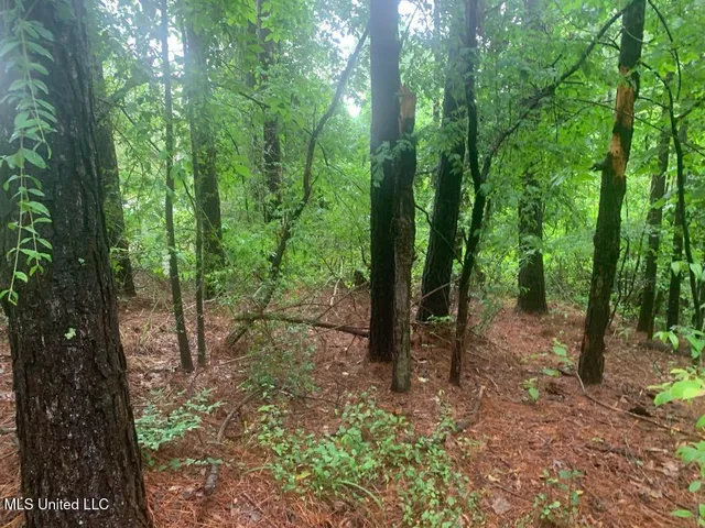 $22,000 | 1063 Dry Creek Road, Magee, MS 39111